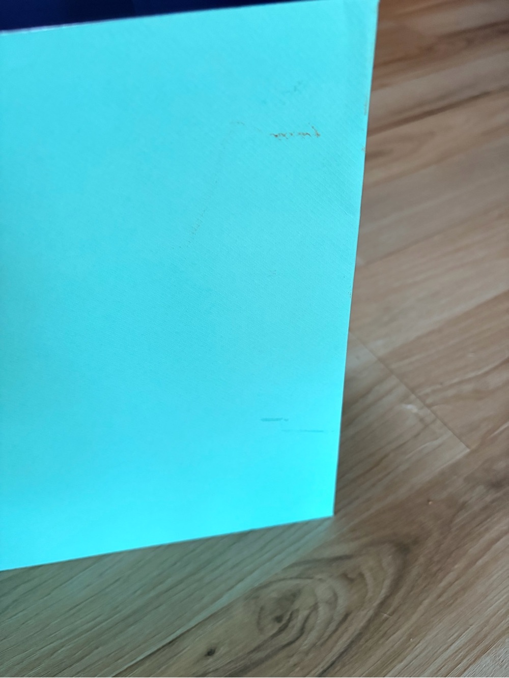 Large Tiffany & Co. bag - Picture 2 of 3
